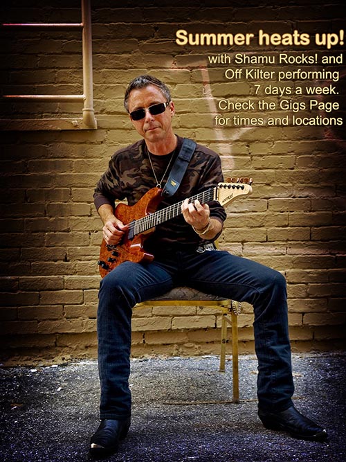 randy holbrook guitarist