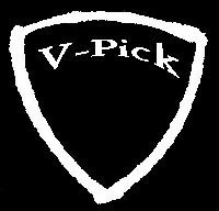 randy holbrook guitarist links v-pick